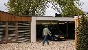 Blackbird-outside-roof.webp