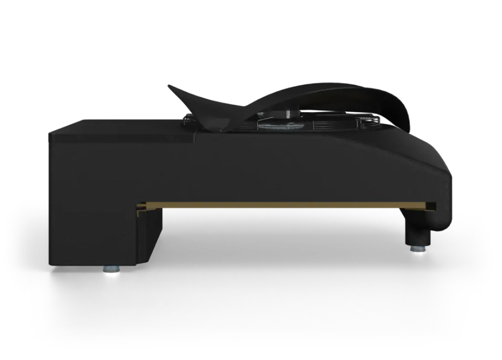 Blackbird.webp