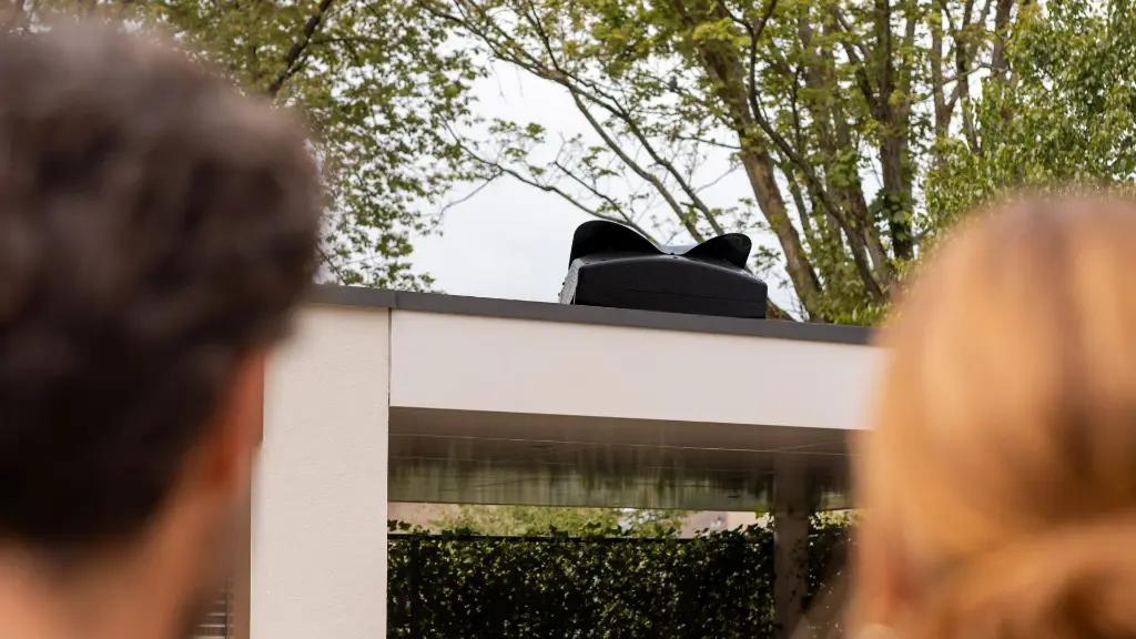 Blackbird-outside.webp