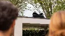 Blackbird-outside.webp