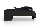Blackbird.webp