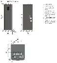 Sigrin Afmetingen.webp
