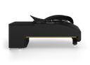 Weheat Blackbird P80